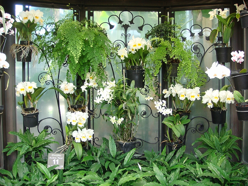 369 Longwood Gardens [2008 August 23].JPG - Longwood Gardens in Pennsylvania